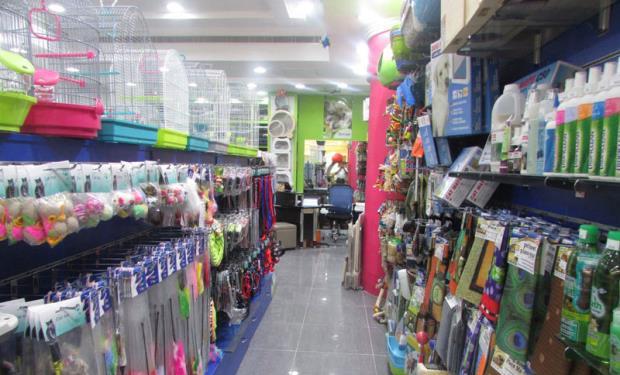 Super Quality Pets Accessories Image-3