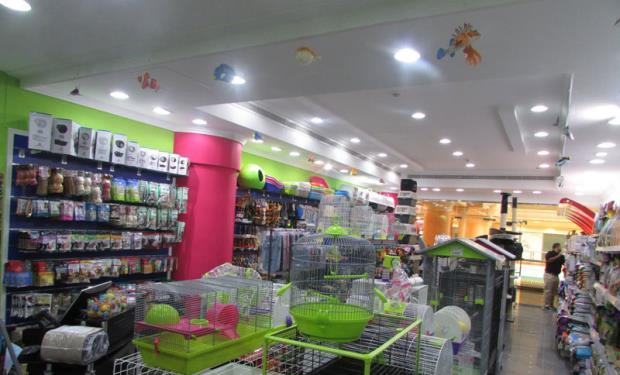 Quality Pets Shop Al Raha Mall